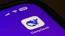 The icon for the smartphone apps DeepSeek.