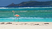 The EU has sought to blacklist foreign tax havens, such as the Virgin Islands