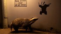 'No Access'