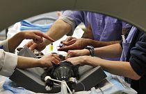 FILE: A cat is prepped in a CAT Scan at the Animal Medical Center of New York, United States, Tuesday, June 22, 2010
