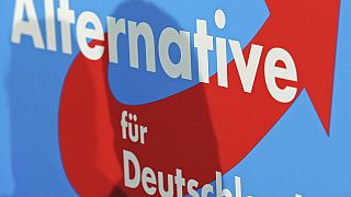 The logo of the Alternative for Germany (AfD) party is seen during a press conference after the general election in Berlin, Monday, 23 September 2013.