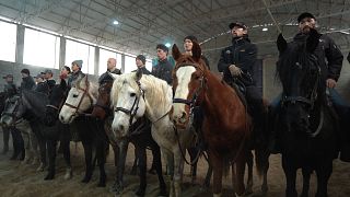 Kazakhstan's cinematic rise: from Hollywood stunts to a golden age of film