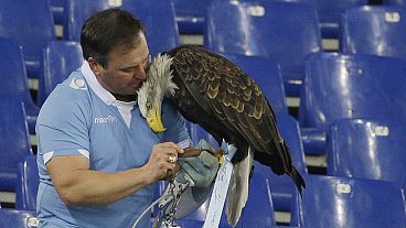FILE: Lazio's mascot Olympia is seen with falconer Juan Bernabe at a Serie A soccer match between Lazio and AC Milan at Rome's Olympic stadium, Jan. 24, 2015.