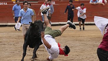 A participant is run over by a bull in the Plaza de Toros de Acho bullring in Lima, Peru, 2.02.2025