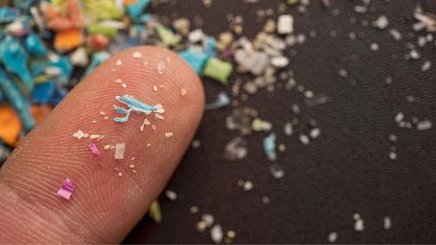 Tiny plastic particles are displayed on the tip of a finger.