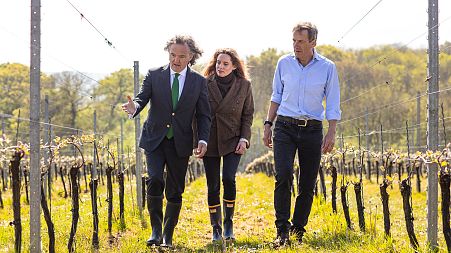 The Taittingers with Patrick McGrath MW at Domaine Evremond at Chilham, Kent