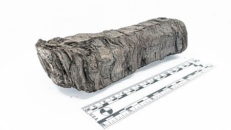 The scroll