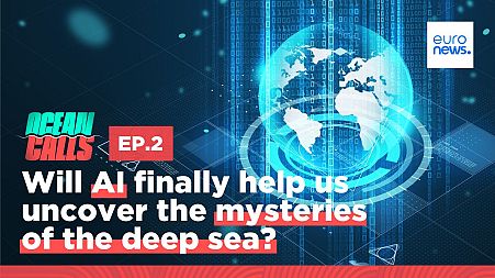 Ocean Calls. Season 3. Episode 2. 