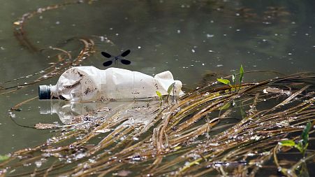  A dragonfly flies over a plastic bottle near the bank of Sava River in Obrenovac, some 25 kilometers (15 miles) west of the Serbian capital Belgrade.