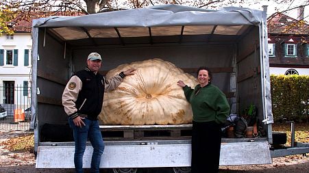 Mario Vangeel and his wife Bieke grew Europe's biggest pumpkin this year.