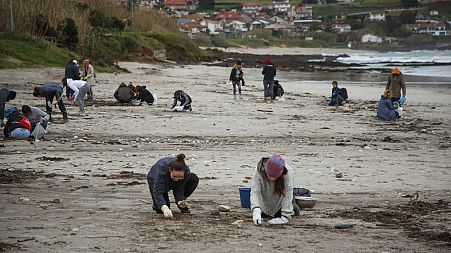 Volunteers collect plastic pellets from a beach in Nigran, Pontevedra, Spain, 9 January 2024