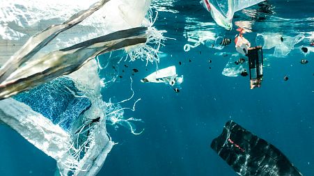 The survey found little demand amongst young people for significant action or accountability from ocean stakeholders.