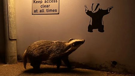 'No Access'