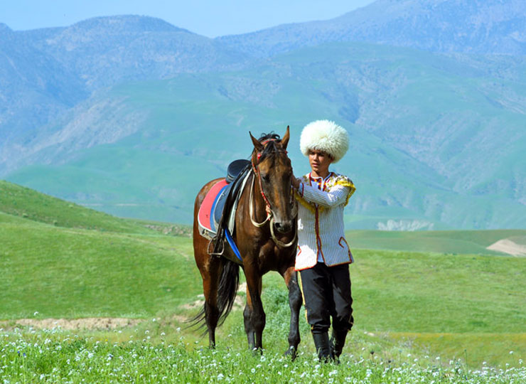 A cultural journey through traditions and celebrations